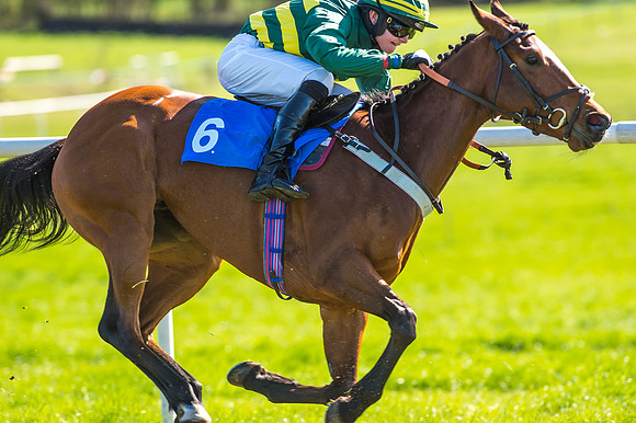 Race 3 - 148cm -11