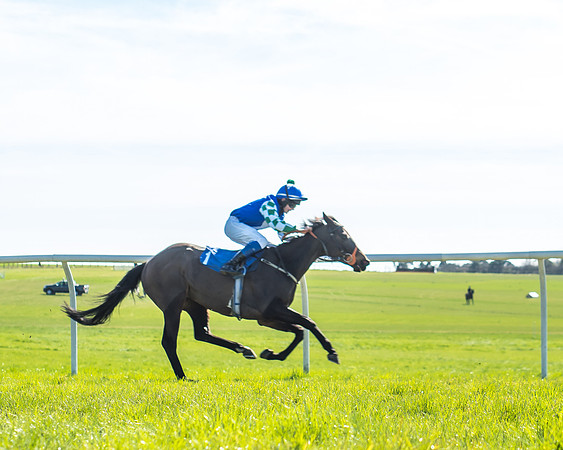 Race 3 - 148cm -13