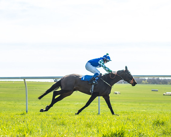 Race 3 - 148cm -14