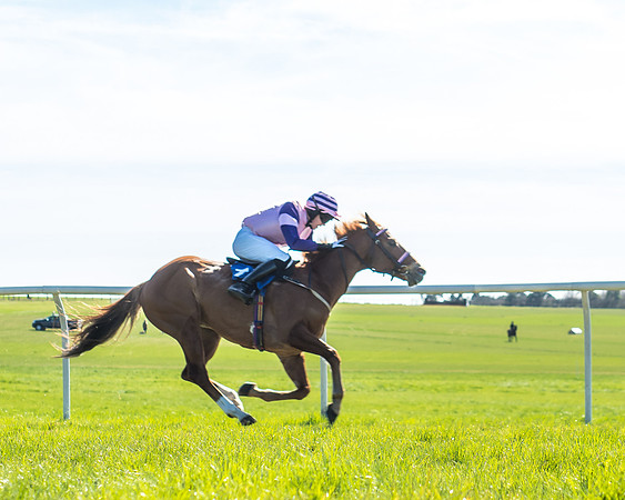 Race 3 - 148cm -15