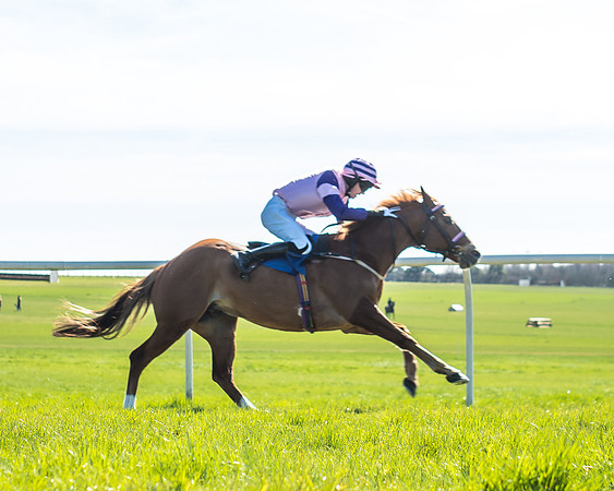 Race 3 - 148cm -16