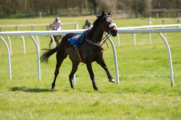 Race 3 - 148cm -19