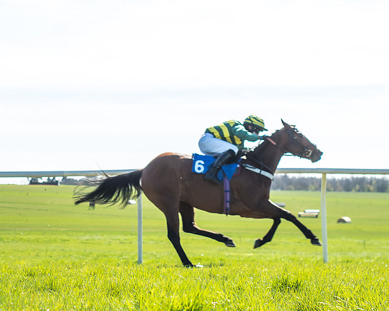 Race 3 - 148cm -20