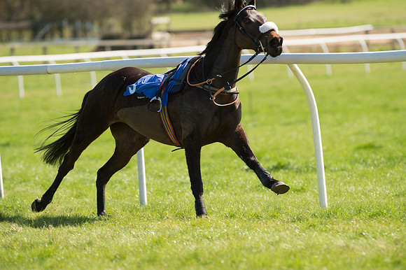 Race 3 - 148cm -21