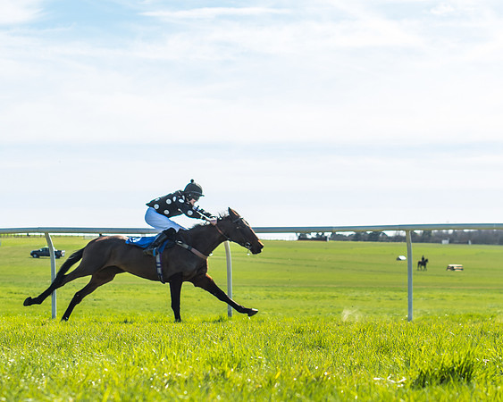 Race 3 - 148cm -39