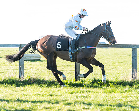 Race 7 - Puckeridge Hunt Charity Flat Race-8