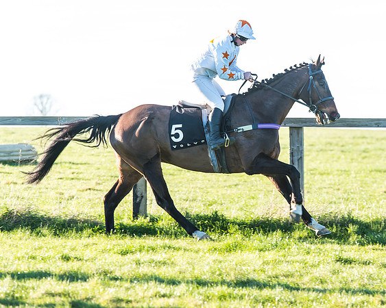 Race 7 - Puckeridge Hunt Charity Flat Race-9