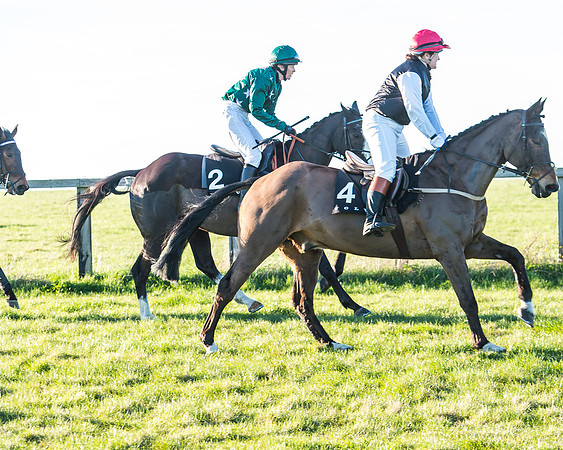 Race 7 - Puckeridge Hunt Charity Flat Race-11