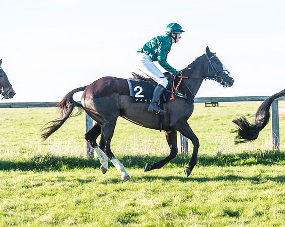 Race 7 - Puckeridge Hunt Charity Flat Race-12