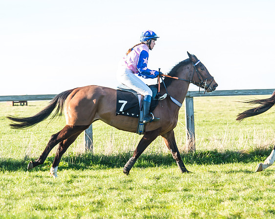 Race 7 - Puckeridge Hunt Charity Flat Race-14