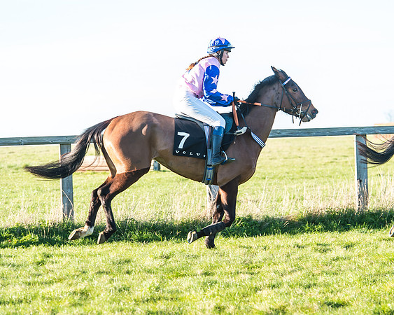 Race 7 - Puckeridge Hunt Charity Flat Race-15