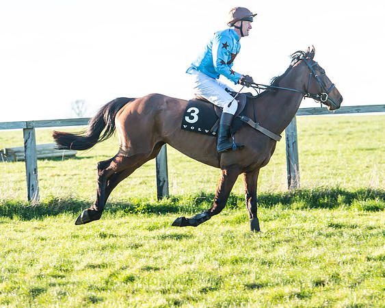 Race 7 - Puckeridge Hunt Charity Flat Race-16
