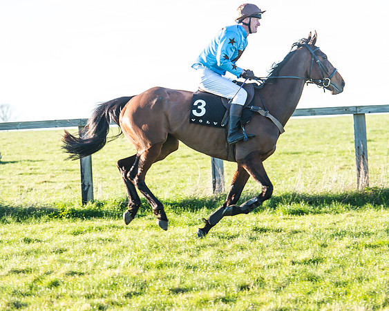 Race 7 - Puckeridge Hunt Charity Flat Race-17