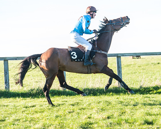 Race 7 - Puckeridge Hunt Charity Flat Race-18