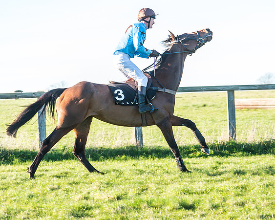 Race 7 - Puckeridge Hunt Charity Flat Race-19