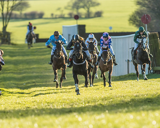 Race 7 - Puckeridge Hunt Charity Flat Race-32