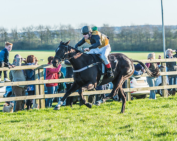 Race 7 - Puckeridge Hunt Charity Flat Race-43