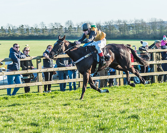 Race 7 - Puckeridge Hunt Charity Flat Race-45