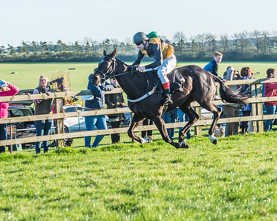 Race 7 - Puckeridge Hunt Charity Flat Race-46