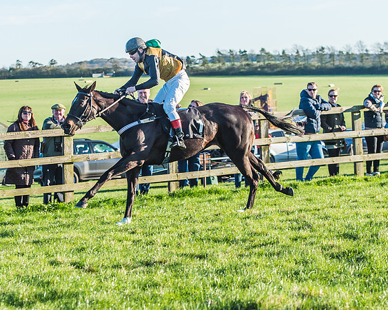 Race 7 - Puckeridge Hunt Charity Flat Race-48