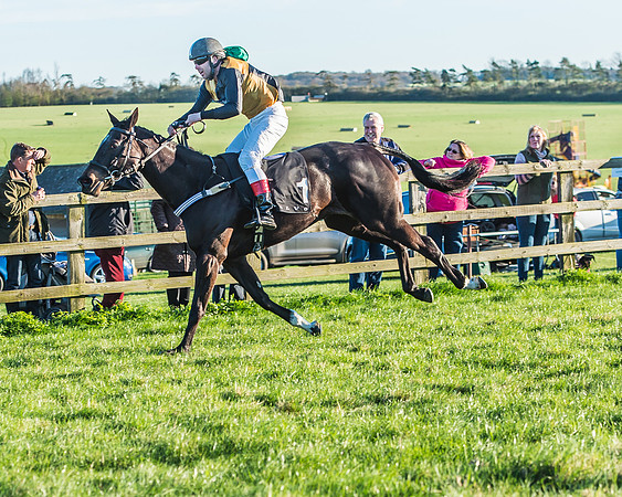 Race 7 - Puckeridge Hunt Charity Flat Race-49