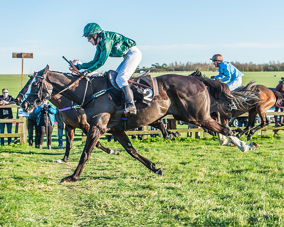 Race 7 - Puckeridge Hunt Charity Flat Race-60
