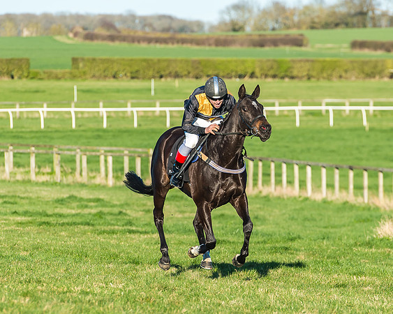Race 7 - Puckeridge Hunt Charity Flat Race-69