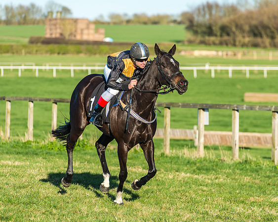 Race 7 - Puckeridge Hunt Charity Flat Race-70