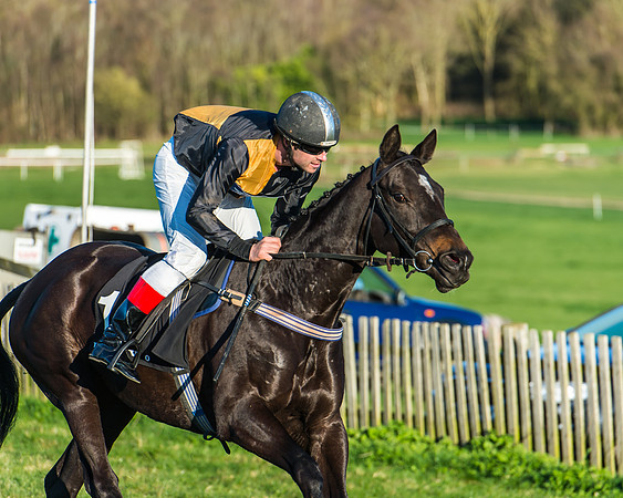 Race 7 - Puckeridge Hunt Charity Flat Race-72