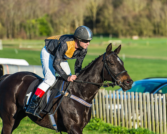 Race 7 - Puckeridge Hunt Charity Flat Race-73