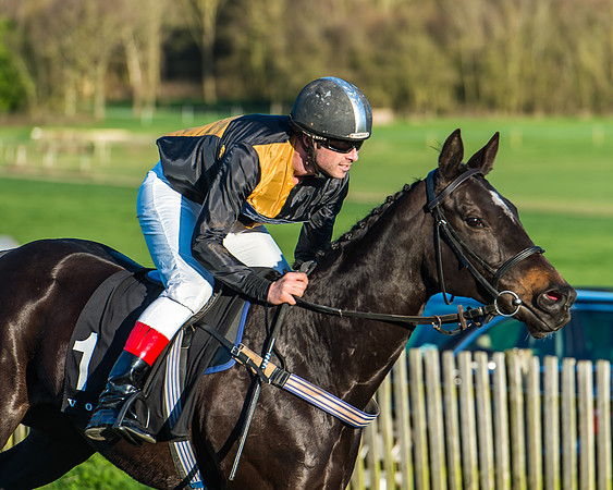 Race 7 - Puckeridge Hunt Charity Flat Race-74