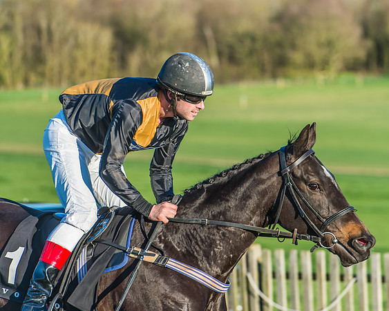 Race 7 - Puckeridge Hunt Charity Flat Race-75