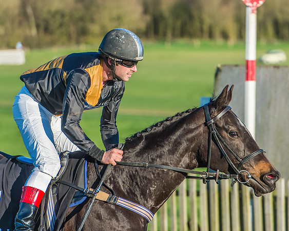 Race 7 - Puckeridge Hunt Charity Flat Race-76