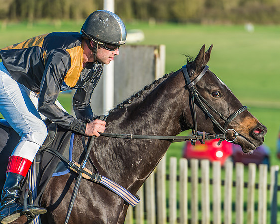 Race 7 - Puckeridge Hunt Charity Flat Race-77