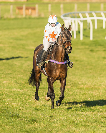Race 7 - Puckeridge Hunt Charity Flat Race-82