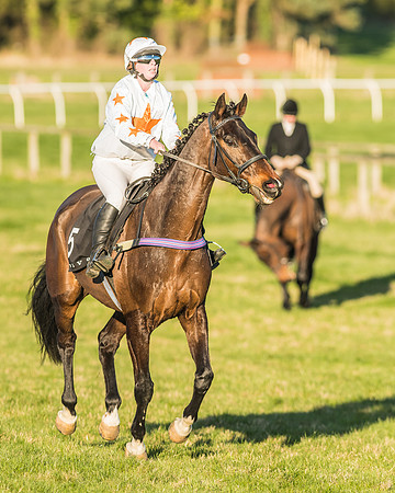 Race 7 - Puckeridge Hunt Charity Flat Race-86