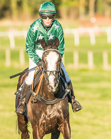Race 7 - Puckeridge Hunt Charity Flat Race-89