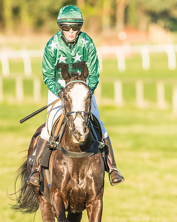 Race 7 - Puckeridge Hunt Charity Flat Race-90