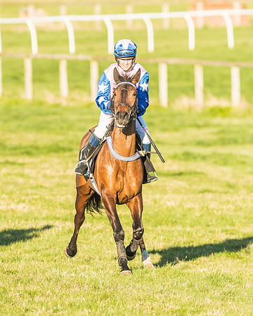 Race 7 - Puckeridge Hunt Charity Flat Race-93