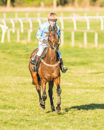 Race 7 - Puckeridge Hunt Charity Flat Race-94