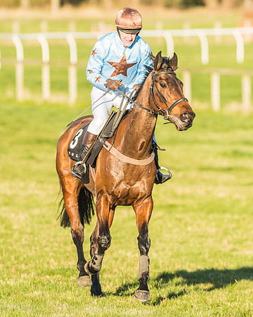 Race 7 - Puckeridge Hunt Charity Flat Race-96