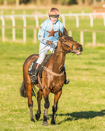Race 7 - Puckeridge Hunt Charity Flat Race-97