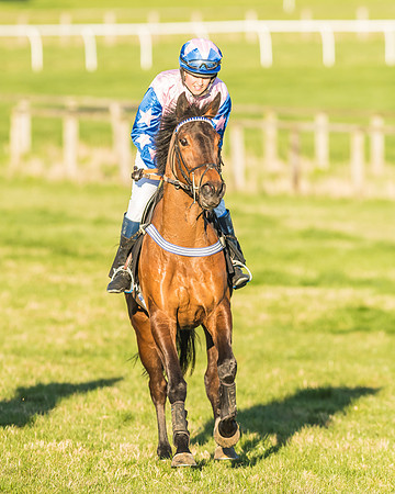 Race 7 - Puckeridge Hunt Charity Flat Race-98