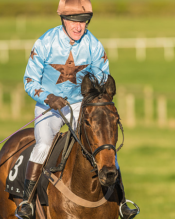 Race 7 - Puckeridge Hunt Charity Flat Race-104