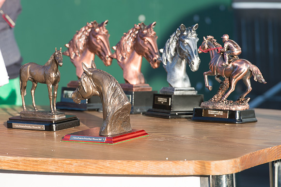 Race 7 - Puckeridge Hunt Charity Flat Race-106