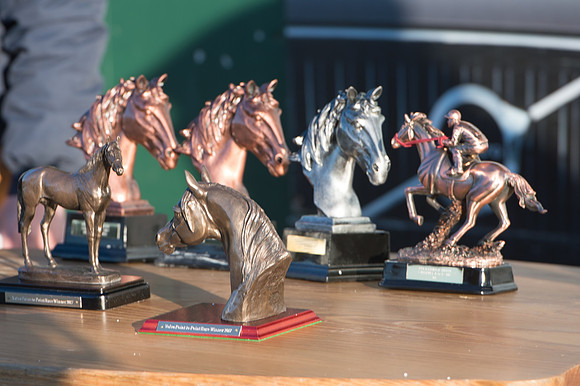 Race 7 - Puckeridge Hunt Charity Flat Race-107