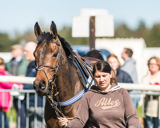 Race 1 - Puckeridge Hunt Members-3