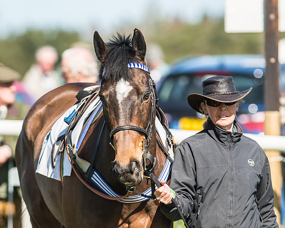 Race 1 - Puckeridge Hunt Members-2
