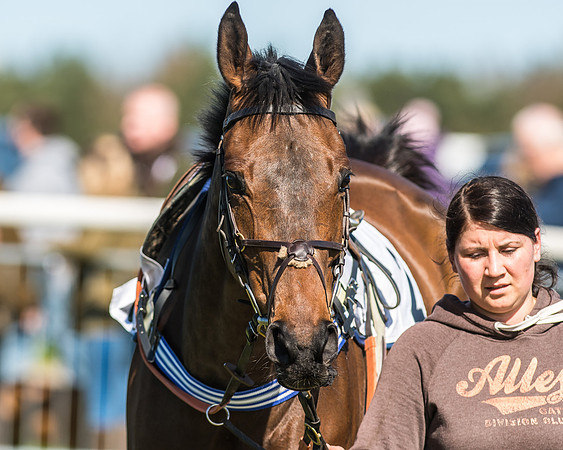 Race 1 - Puckeridge Hunt Members-4