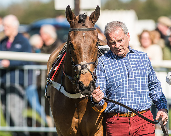 Race 1 - Puckeridge Hunt Members-5